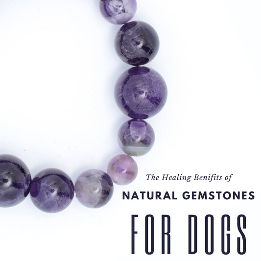 The Healing Benefits of Natural Gemstones for Dogs: Introducing Custom Semi-Precious Gemstone Dog Collars