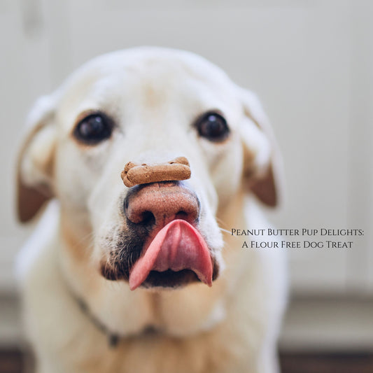 Peanut Butter Pup Delights: A Flour Free Dog Treat