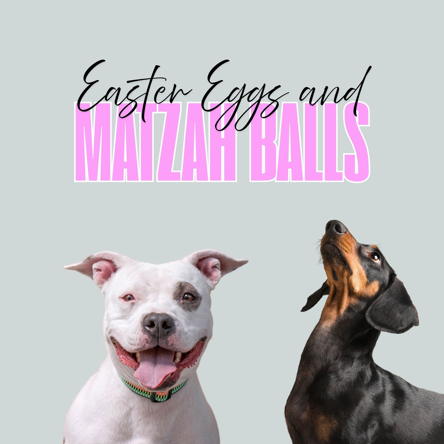 Easter Eggs & Matzah Balls