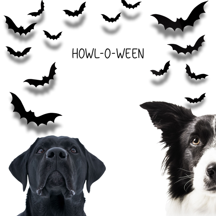 Howl-O-Ween