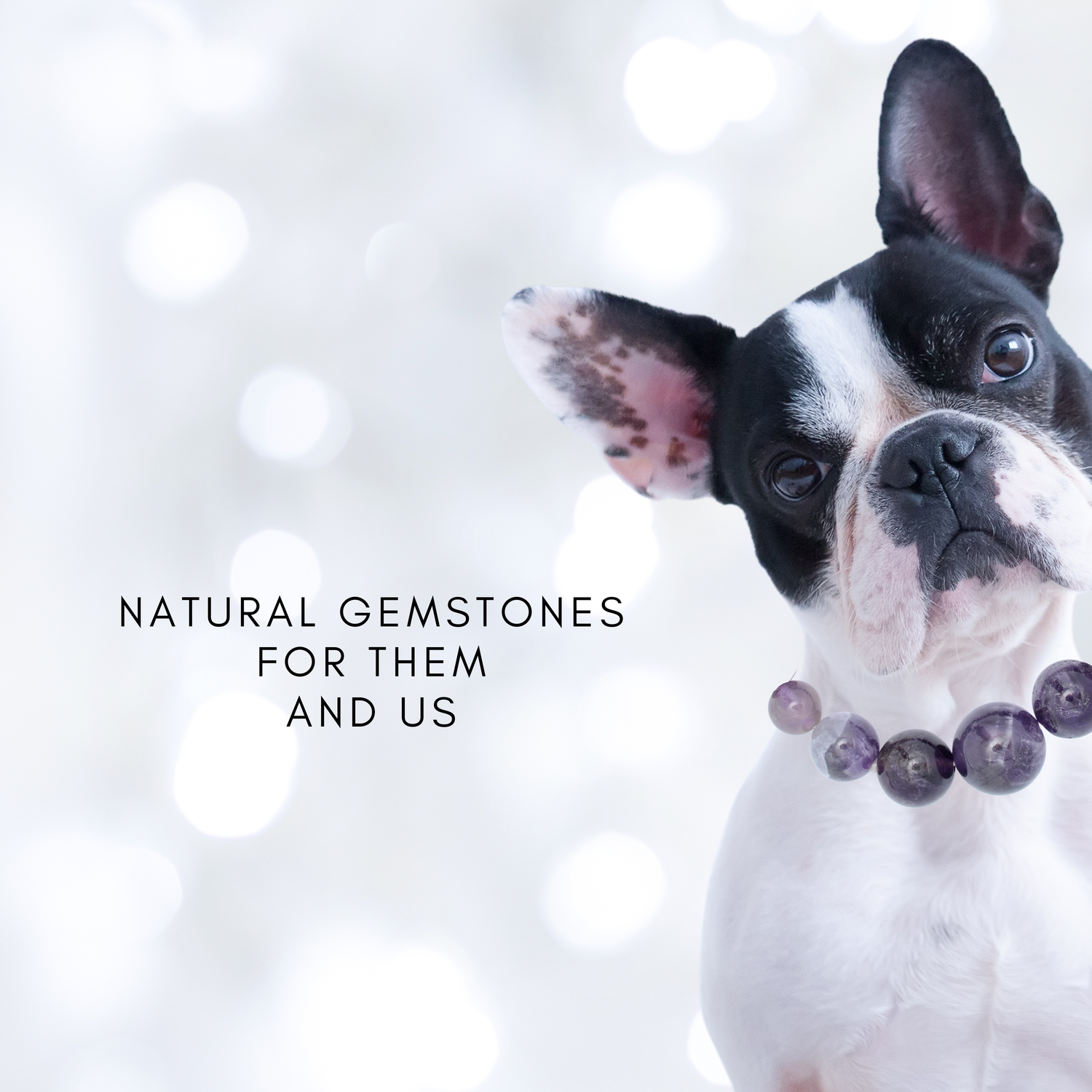 pet memorial jewlery,dog name bracelet,name stone bracelet,custom bead name,custom dog name,dog bone bracelet,pet lover gift,dog lover gift,pet loss bracelet,memorial gift idea,personalized dog,passed away dog,dog remembered