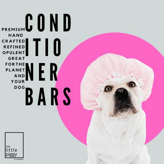 Zero Waste Dog Conditioner Bar 3.2oz - Raspberry Crumble